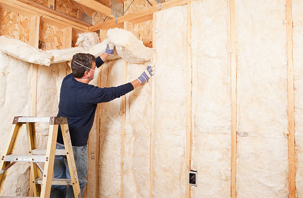 Best Fireproof Insulation in Arnold, PA